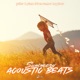 Acoustic Beats Summery