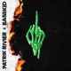 Pardon feat BassKid Single