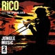 Jungle Music Single