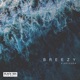 Breezy Single