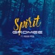 Spirit feat Mahan Moin Single
