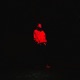 SUNNY IN HELL EP