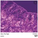 Above the Night Single