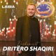 Dashamirët Single