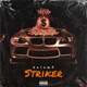 Striker Single