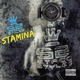 Stamina Single