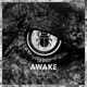 Awake Single