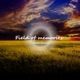 Field of Memories Single
