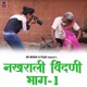 Nakhrali Bindni Pt 1 Single