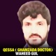 Qessa Ghamzada Doctor