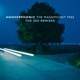 The Magnificent Tree The 2025 Remixes