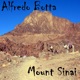 Mount Sinai Single