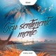 Seu Sentimento Mente feat MC Mari Felipe Araújo Remix Single