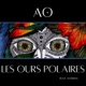 Les ours polaires feat Nathan Single
