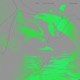 Дельфины Single