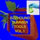 BZZHOUND SUMMER TOOLS VOL 1 Single
