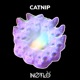 Catnip Single