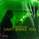Can t Shake You Radio Edit Single