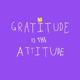 Soul Direction Gratitude Is the Attitude Riddim Single
