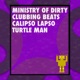 Turtle Man Single