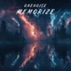 Memorize Single