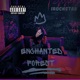 Enchanted Forest
