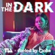 in the dark Single
