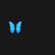 Just In The Night Radio Edit Single