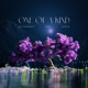 One of a Kind Single