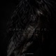 Caballo Viejo Single