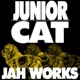 Jah Works Single