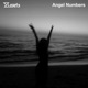 Angel Numbers Single