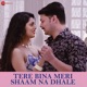 Tere Bina Meri Shaam Na Dhale Single