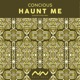 Haunt Me Audiokitchen Remix Remixes Single