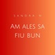 Am ales sa fiu bun Single