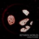 Between Worlds Single