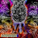 ascension Single
