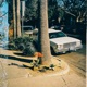 Delight Single