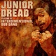 Junior Dread Playing By Interdimensional Dub Band feat Interdimensional dub band