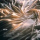 No One Else Like You feat Michael Kaneko Single