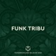 Tomorrowland Belgium 2025 Funk Tribu at Atmosphere Weekend 1 DJ Mix