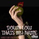 Down Low That s My Name Single
