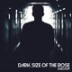 Dark Side of the Rose Single