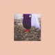 NC 17 feat Pyramid Quince Single