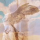 Beauty Wings Single