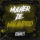 Mulher de Malandro feat MC Pipokinha Single
