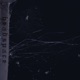 Headspace Single
