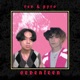 Seventeen Single