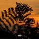 Stranger feat Vibest Single