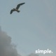 Simple Single